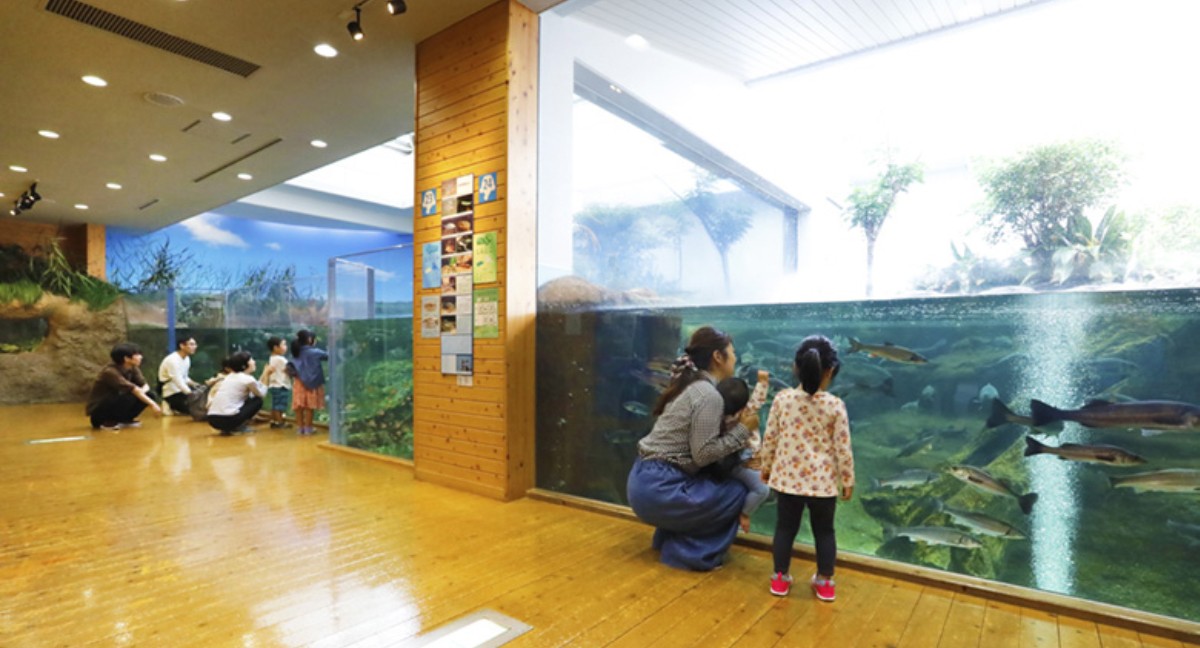 島根県立宍道湖自然館ゴビウス